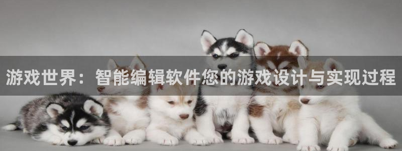 长征娱乐游戏：游戏世界：智能编辑软件您的游戏设计与实现过程
