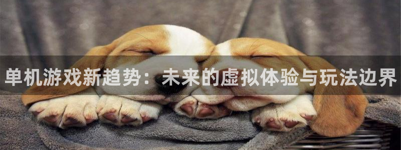 长征娱乐线路测试：单机游戏新趋势：未来的虚拟体验与玩法边界