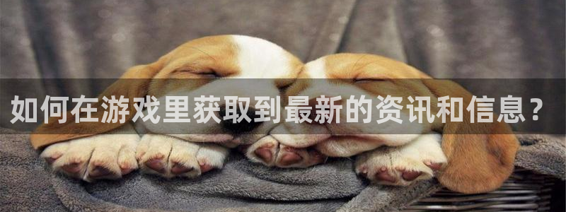 长征娱乐主管：如何在游戏里获取到最新的资讯和信息？