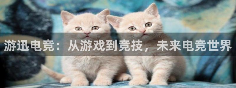 长征娱乐平台登陆：游迅电竞：从游戏到竞技，未来电竞世界