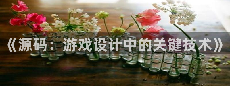 长征娱乐下载链接:《源码:游戏设计中的关键技术》