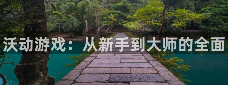 长征娱乐平台官网客服电话：沃动游戏：从新手到大师的全面