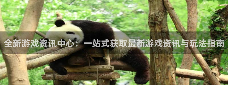 长征娱乐官方注册登录:全新游戏资讯中心:一站式获取最新游戏资
