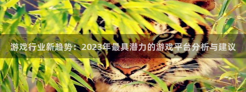 长征娱乐4主管:游戏行业新趋势:2023年最具潜力的游戏平台