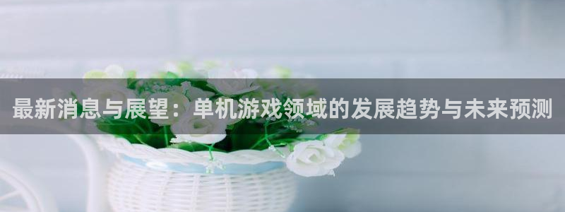 长征娱乐官方登录网址：最新消息与展望：单机游戏领域的发展趋势