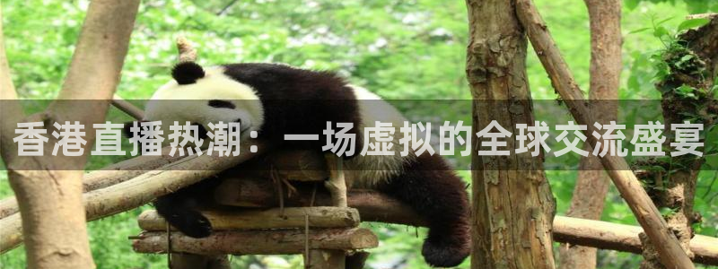 qy球友会体育网站：香港直播热潮：一场虚拟的全球交流盛宴