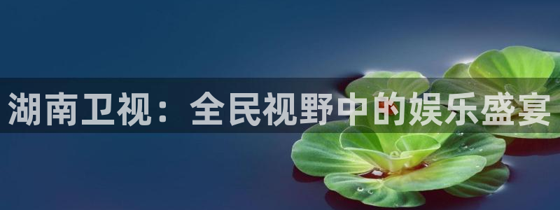 球友体育在线直播：湖南卫视：全民视野中的娱乐盛宴