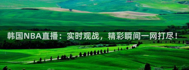 球友直播平台：韩国NBA直播：实时观战，精彩瞬间一网打尽！