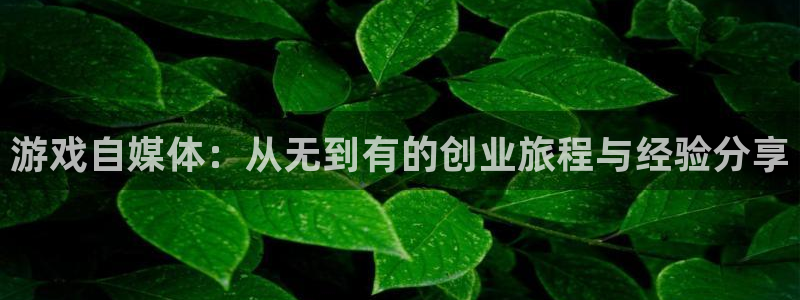 长征娱乐平台注册：游戏自媒体：从无到有的创业旅程与经验分享