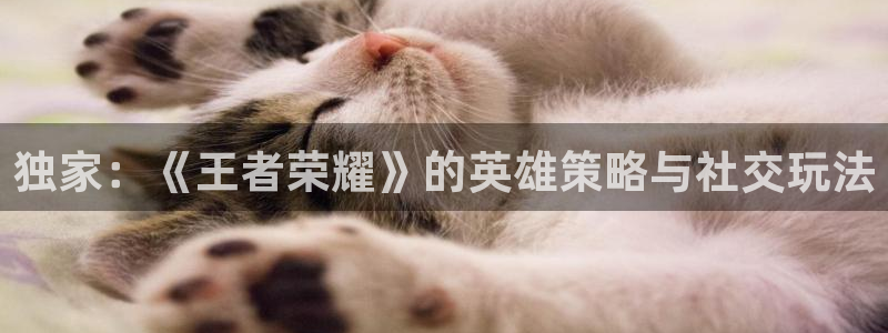 长征娱乐平台注册流程：独家：《王者荣耀》的英雄策略与社交玩法