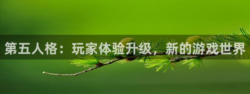 长征娱乐网页登录入口官网：第五人格：玩家体验升级，新的游戏世