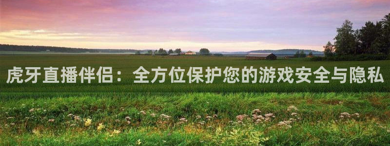 球友直播在线直播：虎牙直播伴侣：全方位保护您的游戏安全与隐私