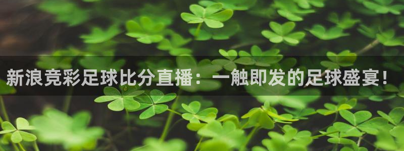 球友直播app：新浪竞彩足球比分直播：一触即发的足球盛宴！