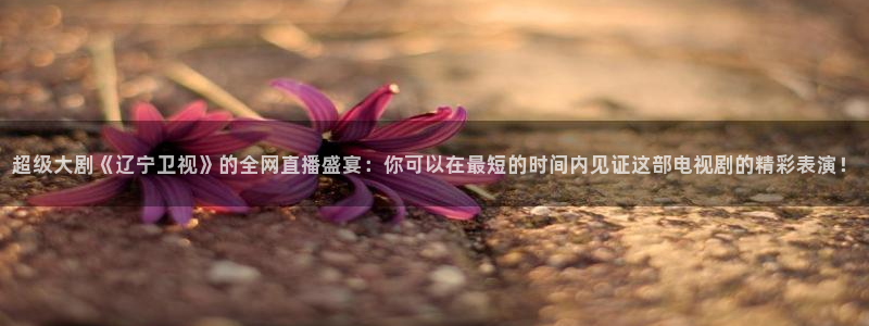 qy球友会体育网站：超级大剧《辽宁卫视》的全网直播盛宴：你可以在最短的时间内见证这部电视剧的精彩表演！